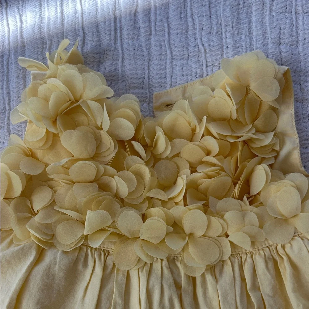 GAP Yellow Floral Appliqué Dress